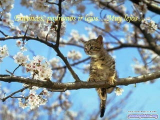 Entonces, podremos ir lejos…Muy lejos ...