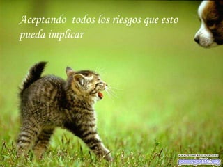 Aceptando  todos los riesgos que esto pueda implicar