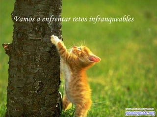 Vamos a enfrentar retos infranqueables