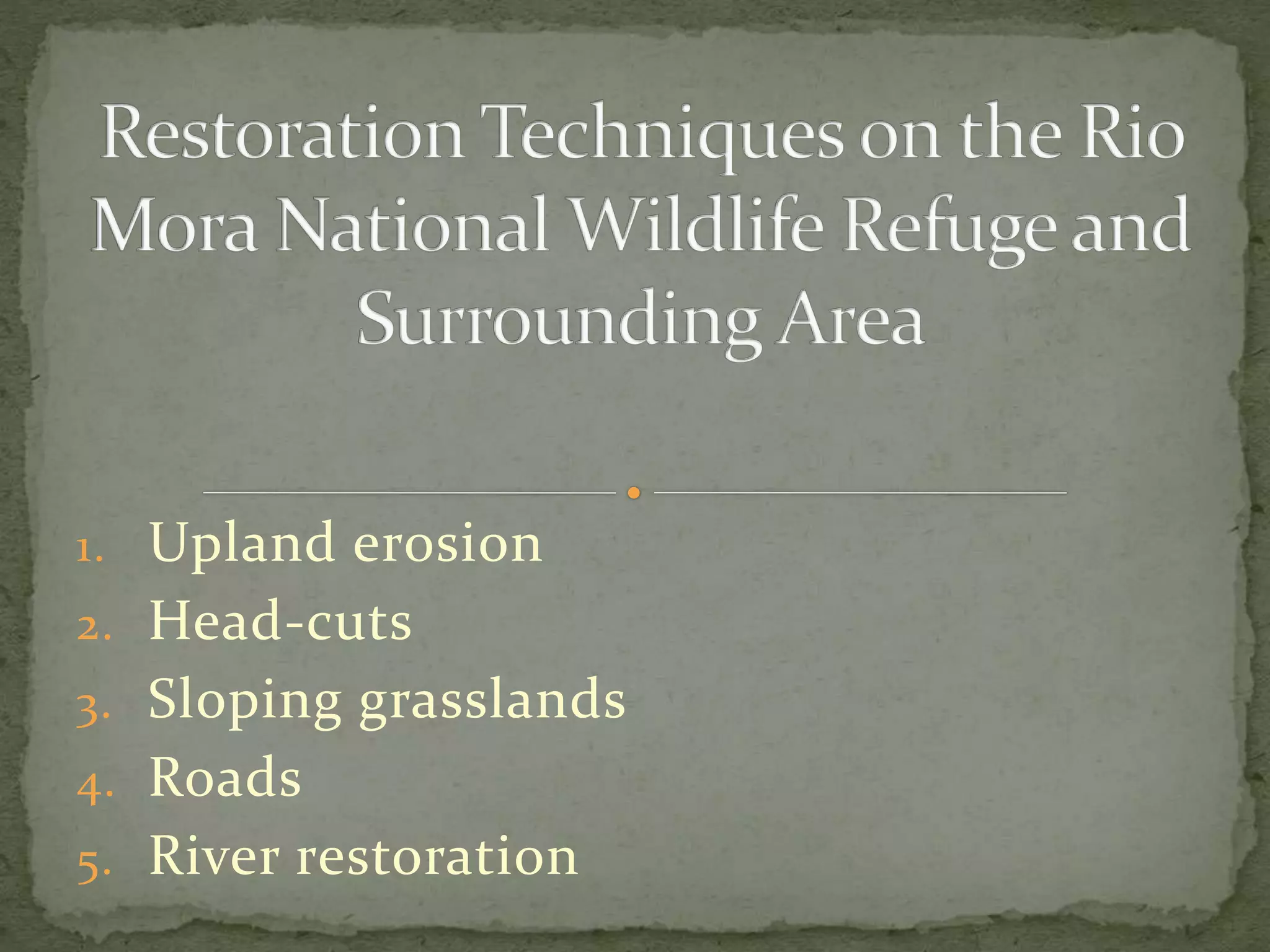 Photo inspiration: Gallery Detail: Restoration Techniques On The Rio Mora National Wildlife Refuge And