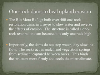 Restoration Techniques on the Rio Mora National Wildlife Refuge and ...
