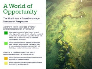 Making Forest Landscape Restoration a force of change | PPTX