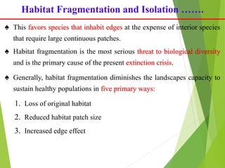 Isolation Fragmentation Restoration ecology.pptxshshdhdheududrur | PPTX