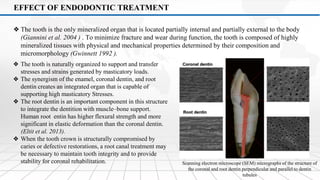Restoration of the Endodontically Treated Tooth (1 & 2) | PDF