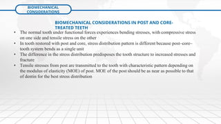 Restoration of the Endodontically Treated Tooth (1 & 2) | PDF