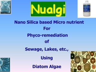 Nano Silica based Micro nutrient
For
Phyco-remediation
of
Sewage, Lakes, etc.,
Using
Diatom Algae
 