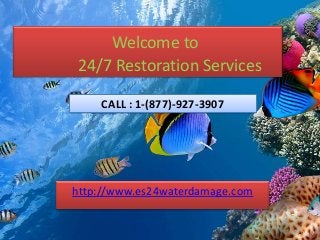 Welcome to
24/7 Restoration Services
http://www.es24waterdamage.com
CALL : 1-(877)-927-3907
 