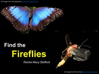 CC Image From Tony Baldasaro https://flic.kr/p/cDBuUs
CC Image from Terry Priest https://flic.kr/p/hrxqQ
Find the
Fireflies
Rachel Macy Stafford
 