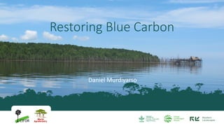 Daniel Murdiyarso
Restoring Blue Carbon
 