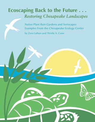 Ecoscaping Back to the Future . . .
       Restoring Chesapeake Landscapes
       Native Plant Rain Gardens and Xeriscapes
       Examples From the Chesapeake Ecology Center
       by Zora Lathan and Thistle A. Cone
 
