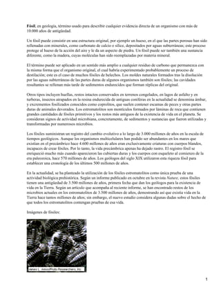 Fósil, en geología, término usado para describir cualquier evidencia directa de un organismo con más de
10.000 años de antigüedad.

Un fósil puede consistir en una estructura original, por ejemplo un hueso, en el que las partes porosas han sido
rellenadas con minerales, como carbonato de calcio o sílice, depositados por aguas subterráneas; este proceso
protege al hueso de la acción del aire y le da un aspecto de piedra. Un fósil puede ser también una sustancia
diferente, como la madera, cuyas moléculas han sido reemplazadas por materia mineral.

El término puede ser aplicado en un sentido más amplio a cualquier residuo de carbono que permanezca con
la misma forma que el organismo original, el cual habría experimentado probablemente un proceso de
destilación; este es el caso de muchos fósiles de helechos. Los moldes naturales formados tras la disolución
por las aguas subterráneas de las partes duras de algunos organismos también son fósiles; las cavidades
resultantes se rellenan más tarde de sedimentos endurecidos que forman réplicas del original.

Otros tipos incluyen huellas, restos intactos conservados en terrenos congelados, en lagos de asfalto y en
turberas, insectos atrapados en la resina endurecida de antiguas coníferas en la actualidad se denomina ámbar,
y excrementos fosilizados conocidos como coprolitos, que suelen contener escamas de peces y otras partes
duras de animales devorados. Los estromatolitos son montículos formados por láminas de roca que contienen
grandes cantidades de fósiles primitivos y los restos más antiguos de la existencia de vida en el planeta. Se
consideran signos de actividad microbiana, concretamente, de sedimentos y sustancias que fueron utilizadas y
transformadas por numerosos microbios.

Los fósiles suministran un registro del cambio evolutivo a lo largo de 3.000 millones de años en la escala de
tiempos geológicos. Aunque los organismos multicelulares han podido ser abundantes en los mares que
existían en el precámbrico hace 4.600 millones de años eran exclusivamente criaturas con cuerpos blandos,
incapaces de crear fósiles. Por lo tanto, la vida precámbrica apenas ha dejado rastro. El registro fósil se
enriqueció mucho más cuando aparecieron las cubiertas duras y los cuerpos con esqueleto al comienzo de la
era paleozoica, hace 570 millones de años. Los geólogos del siglo XIX utilizaron esta riqueza fósil para
establecer una cronología de los últimos 500 millones de años.

En la actualidad, se ha planteado la utilización de los fósiles estromatolitos como única prueba de una
actividad biológica prehistórica. Según un informe publicado en octubre en la revista Nature, estos fósiles
tienen una antigüedad de 3.500 millones de años, primera fecha que dan los geólogos para la existencia de
vida en la Tierra. Según un artículo que acompaña al reciente informe, se han encontrado restos de los
microbios actuales en los estromatolitos de 3.500 millones de años, demostrando así que existía vida en la
Tierra hace tantos millones de años; sin embargo, el nuevo estudio considera algunas dudas sobre el hecho de
que todos los estromatolitos contengan pruebas de esa vida.

Imágenes de fósiles:




                                                                                                                1
 