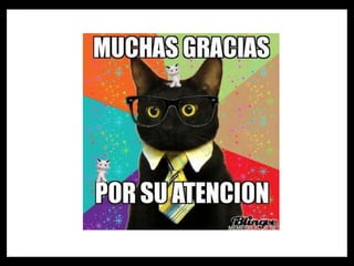 Tumor de wilms , Restos Nefrogenos  