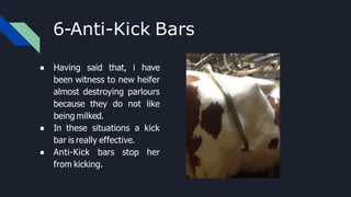 6-Anti-Kick Bars
● Having said that, i have
been witness to new heifer
almost destroying parlours
because they do not like
being milked.
● In these situations a kick
bar is really effective.
● Anti-Kick bars stop her
from kicking.
 
