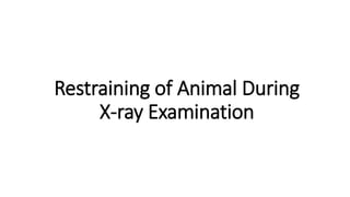 Restraining of Animal During
X-ray Examination
 