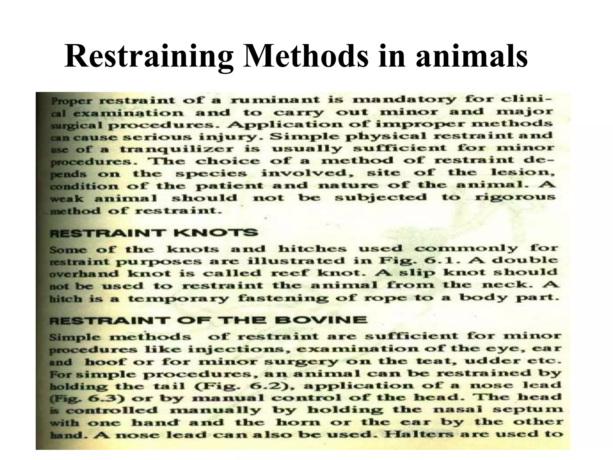 Restraining Methods in animals
 