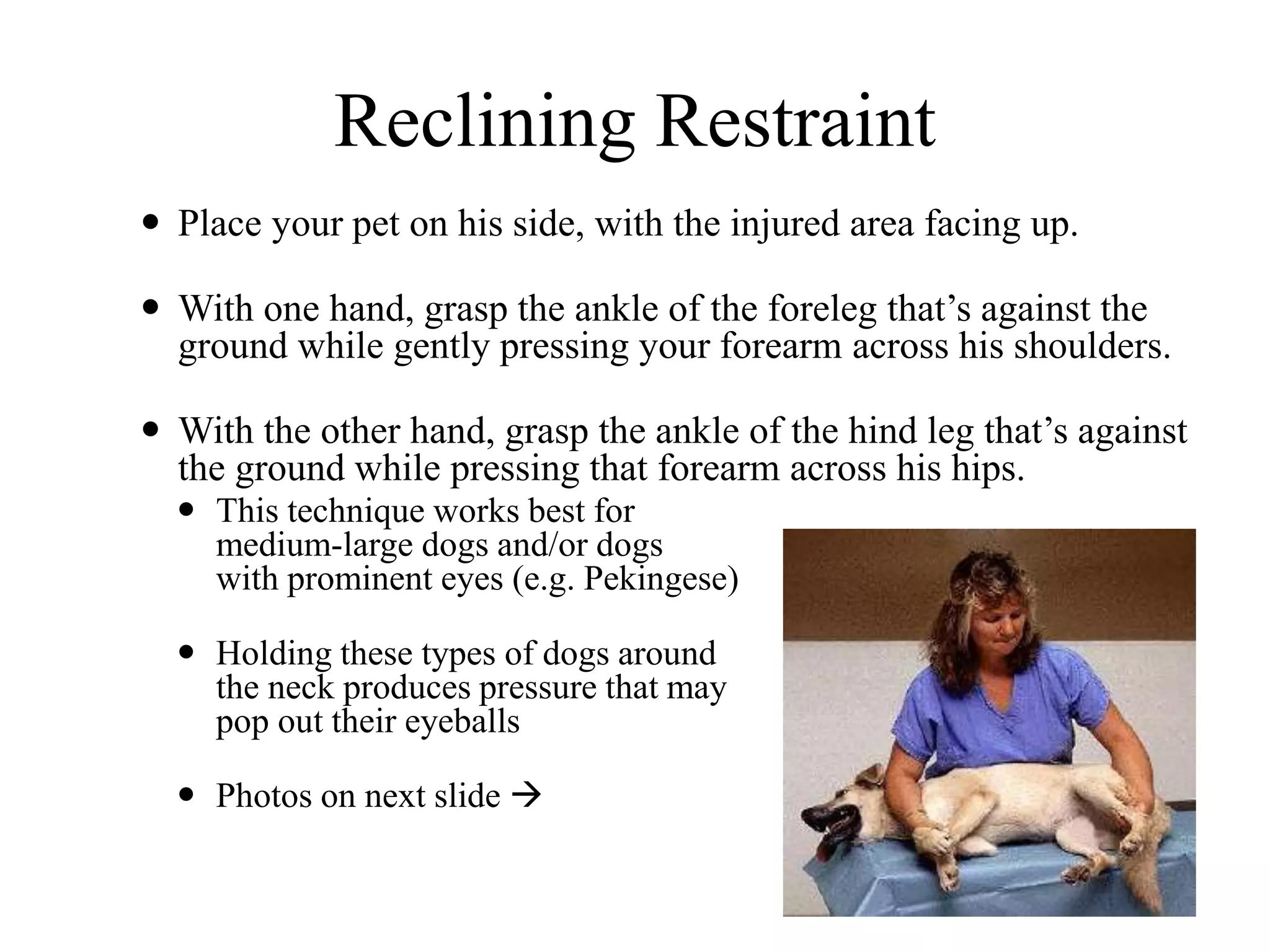Reclining Restraint
 Place your pet on his side, with the injured area facing up.
 With one hand, grasp the ankle of the foreleg that’s against the
ground while gently pressing your forearm across his shoulders.
 With the other hand, grasp the ankle of the hind leg that’s against
the ground while pressing that forearm across his hips.
 This technique works best for
medium-large dogs and/or dogs
with prominent eyes (e.g. Pekingese)
 Holding these types of dogs around
the neck produces pressure that may
pop out their eyeballs
 Photos on next slide 
 
