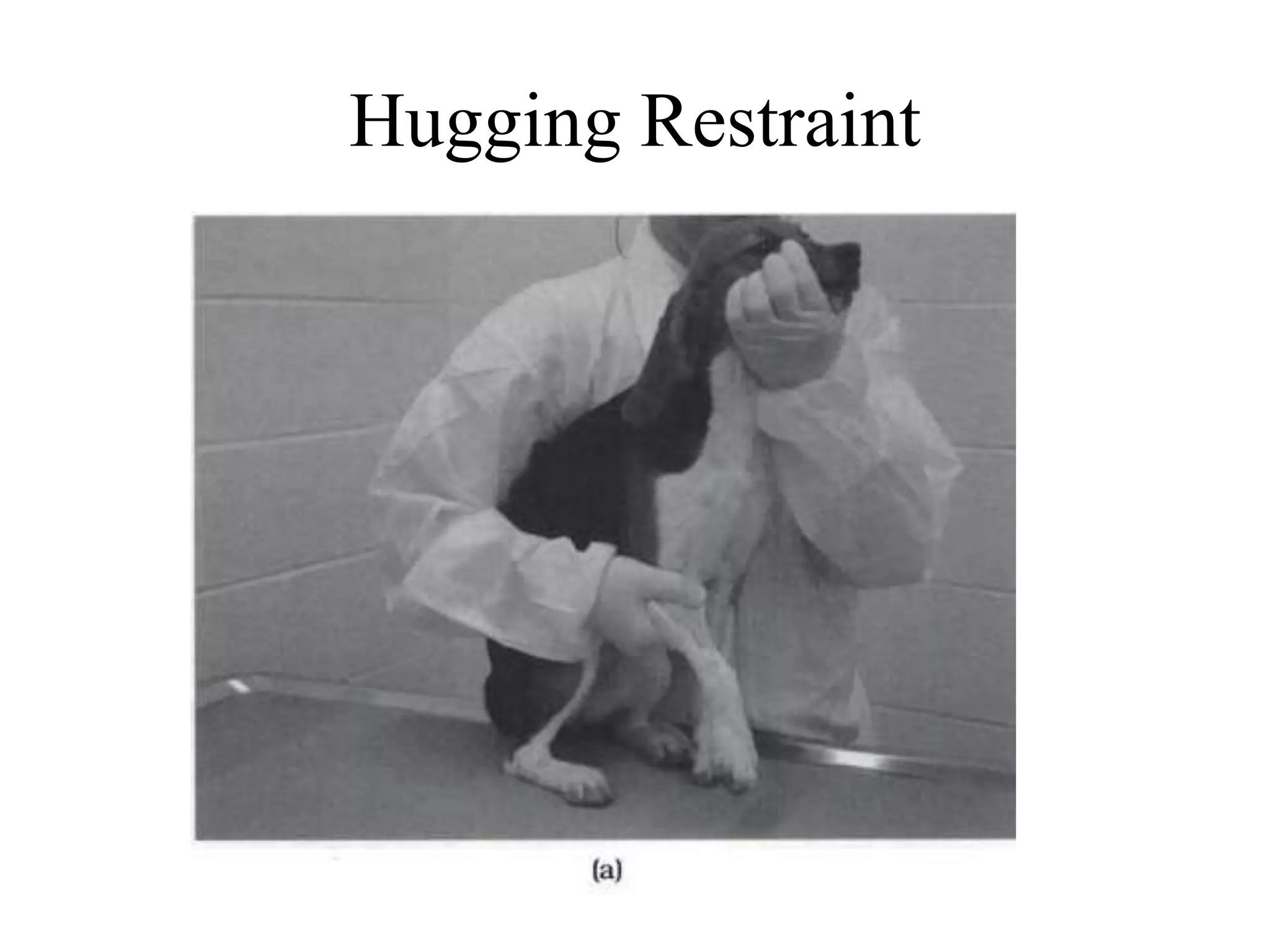 Hugging Restraint
 