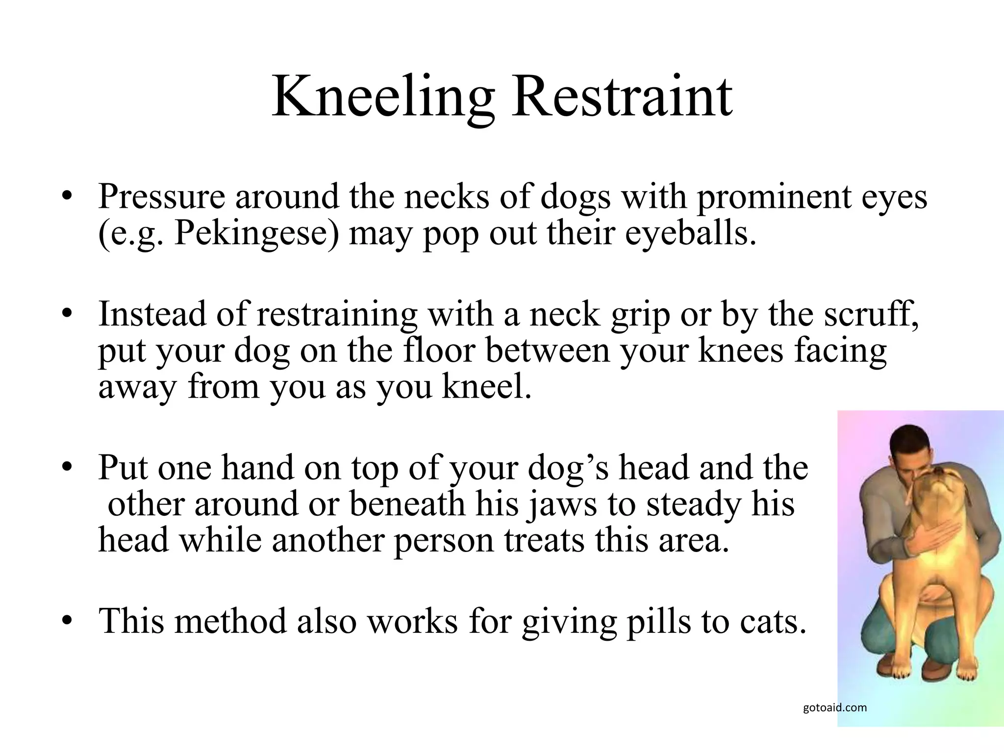 Kneeling Restraint
• Pressure around the necks of dogs with prominent eyes
(e.g. Pekingese) may pop out their eyeballs.
• Instead of restraining with a neck grip or by the scruff,
put your dog on the floor between your knees facing
away from you as you kneel.
• Put one hand on top of your dog’s head and the
other around or beneath his jaws to steady his
head while another person treats this area.
• This method also works for giving pills to cats.
gotoaid.com
 