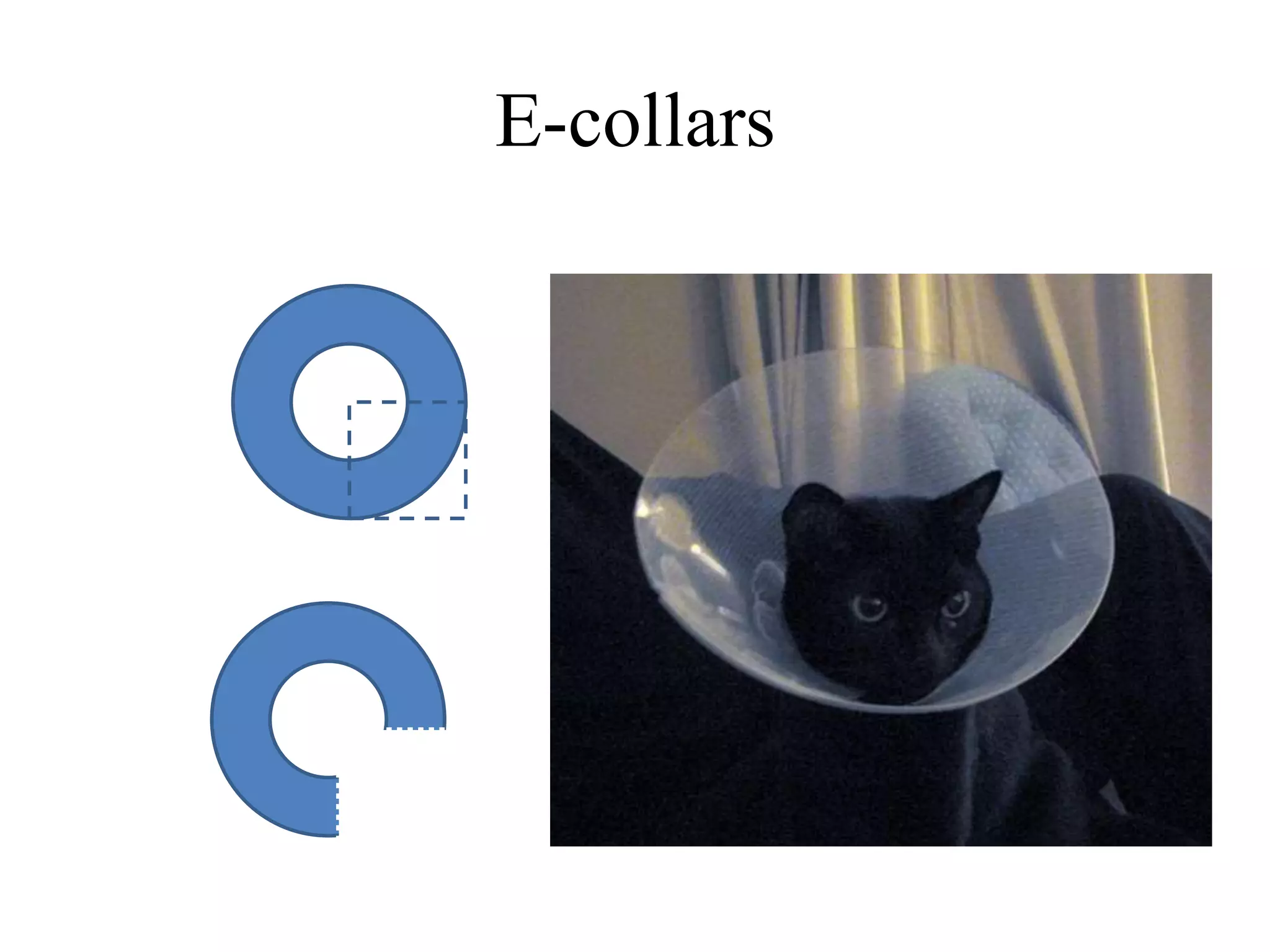 E-collars
 