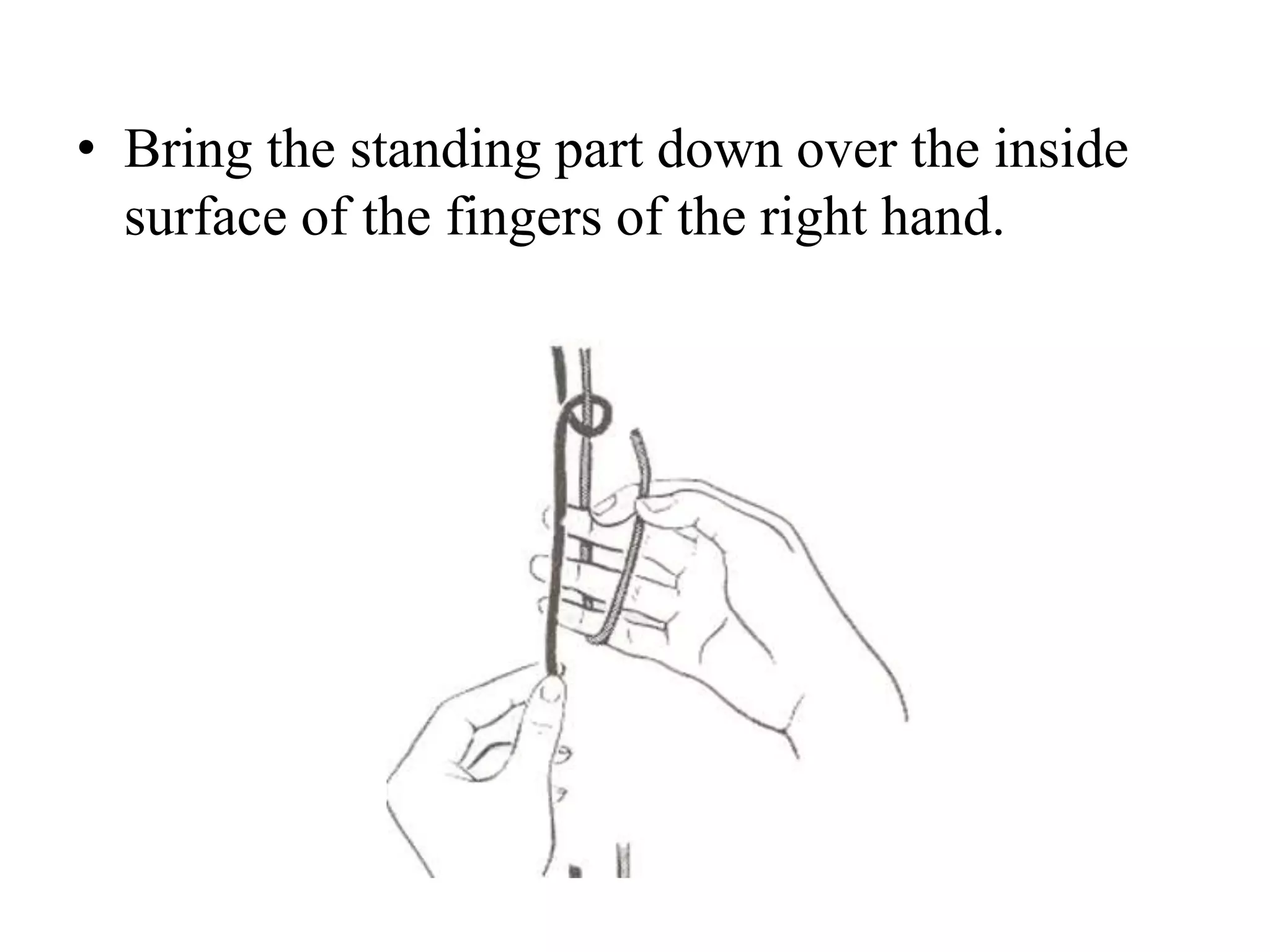 • Bring the standing part down over the inside
surface of the fingers of the right hand.
 