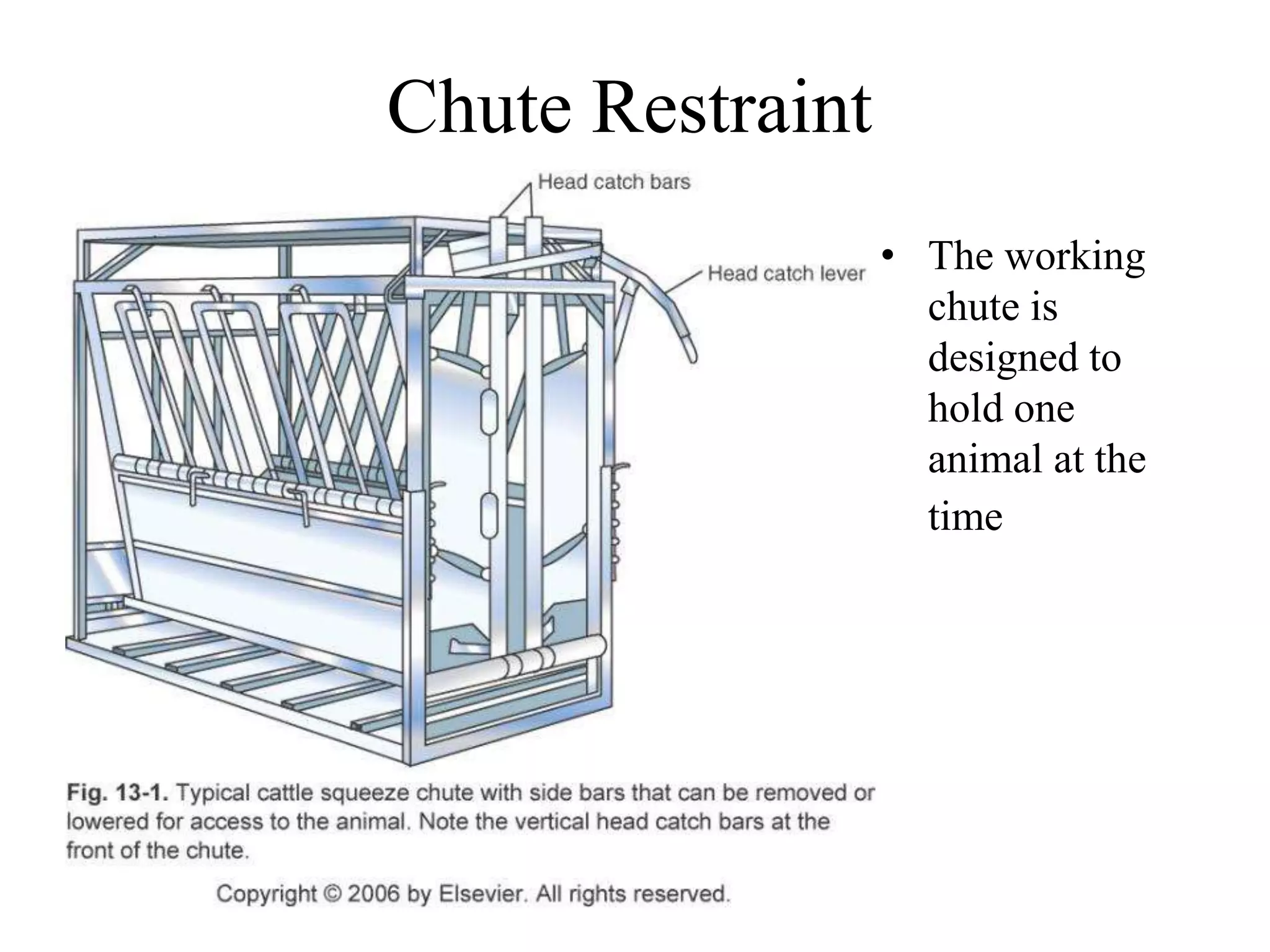 Chute Restraint
• The working
chute is
designed to
hold one
animal at the
time
 