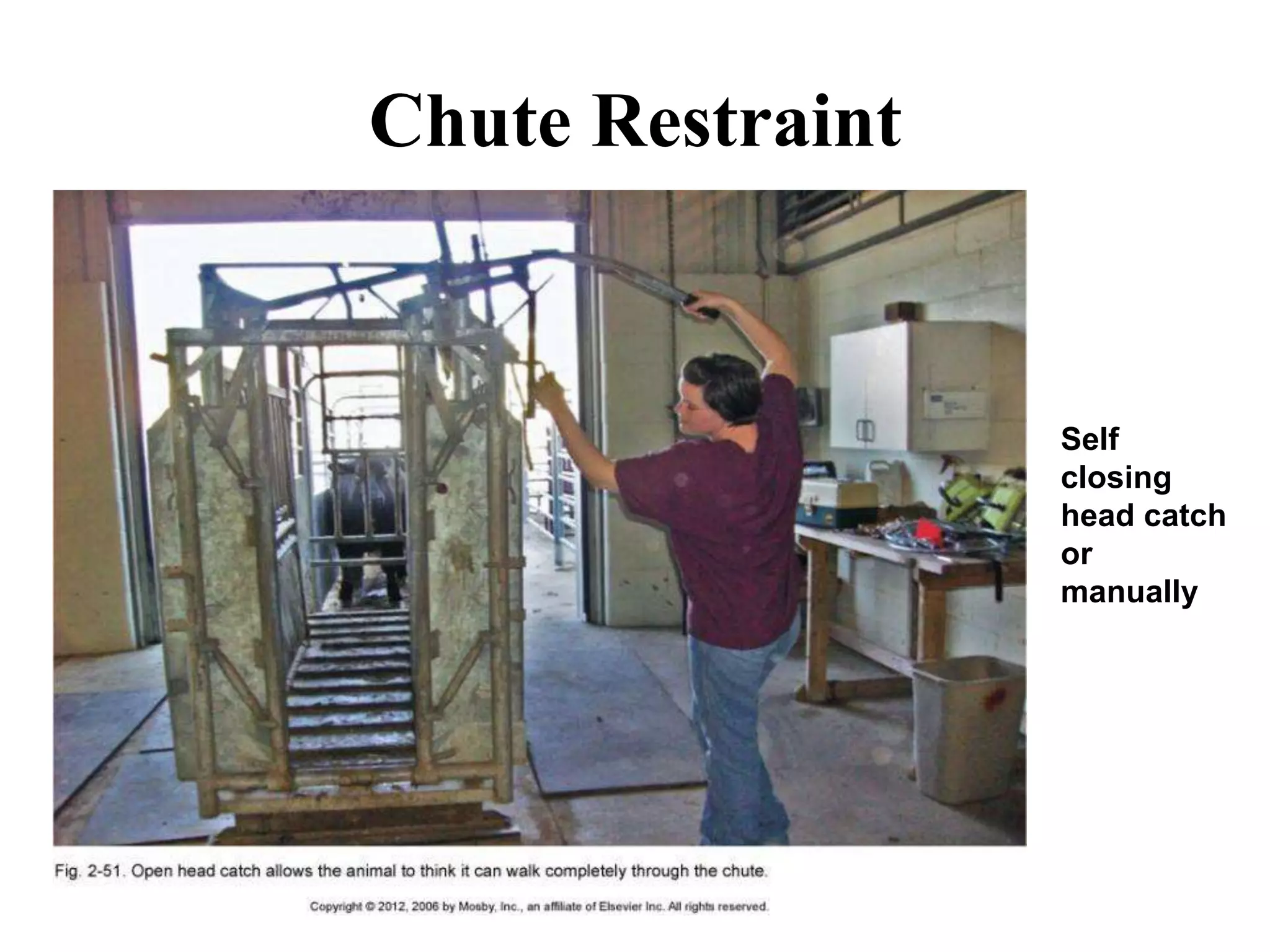 Chute Restraint
Self
closing
head catch
or
manually
 