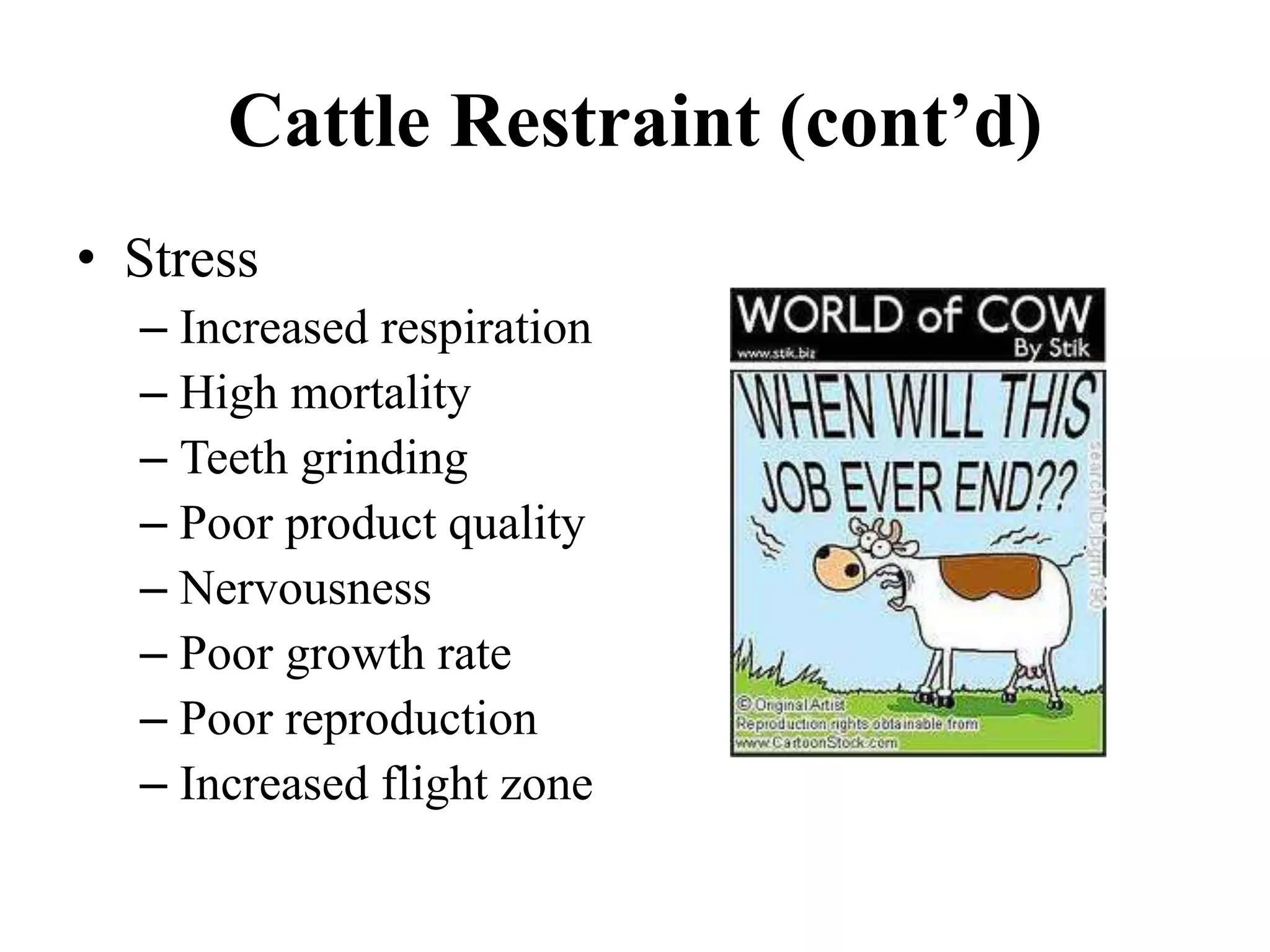 Cattle Restraint (cont’d)
• Stress
– Increased respiration
– High mortality
– Teeth grinding
– Poor product quality
– Nervousness
– Poor growth rate
– Poor reproduction
– Increased flight zone
 