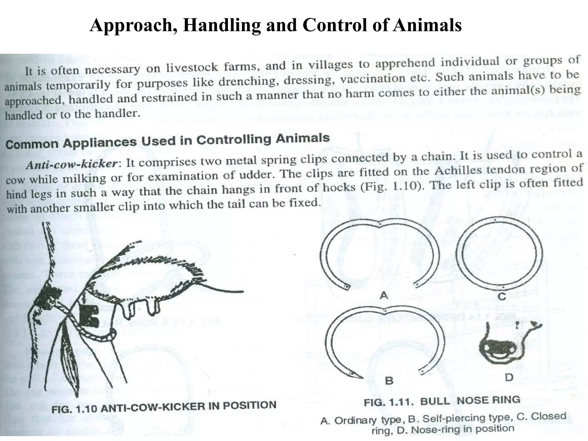 Approach, Handling and Control of Animals
 