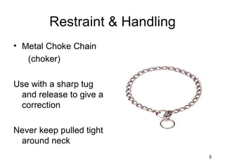 Using Choke Collar Restraint Handling Dog Collars | PPT