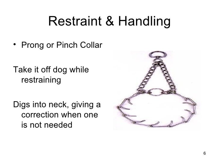 Restraint Handling Dog Collars