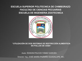 ESCUELA SUPERIOR POLITECNICA DE CHIMBORAZO  FACULTAD DE CIENCIAS PECUARIAS  ESCUELA DE INGENIERIA ZOOTECNICA “ UTILIZACIÓN DE DOS SISTEMAS DE RESTRICCIÓN ALIMENTICIA EN POLLOS DE CEBA”   Autor: ÉDISON POLIVIO YÁNEZ GARCÉS Director: Ing. JOSÉ MARÍA PAZMIÑO GUADALUPE, MC. 