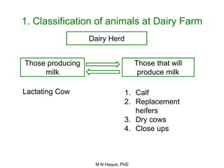 Concept of restricted energy in dairy cattle | PPTX