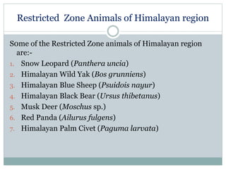 Restricted Zone Animals of Himalayan region
S0me of the Restricted Zone animals of Himalayan region
are:-
1. Snow Leopard (Panthera uncia)
2. Himalayan Wild Yak (Bos grunniens)
3. Himalayan Blue Sheep (Psuidois nayur)
4. Himalayan Black Bear (Ursus thibetanus)
5. Musk Deer (Moschus sp.)
6. Red Panda (Ailurus fulgens)
7. Himalayan Palm Civet (Paguma larvata)
 