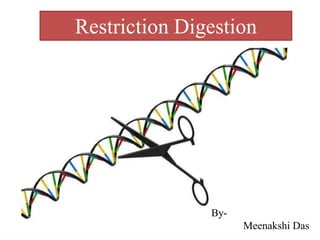 Restriction Digestion
By-
Meenakshi Das
 