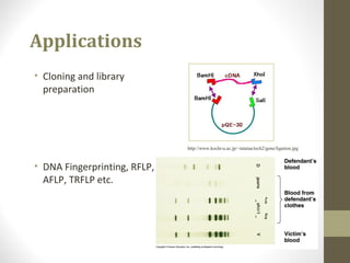 Applications
• Cloning and library
preparation
• DNA Fingerprinting, RFLP,
AFLP, TRFLP etc.
http://www.kochi-u.ac.jp/~tatataa/tech2/gene/ligation.jpg
 