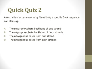 Quick Quiz 2
A restriction enzyme works by identifying a specific DNA sequence
and cleaving:
A. The sugar-phosphate backbone of one strand
B. The sugar-phosphate backbone of both strands
C. The nitrogenous bases from one strand
D. The nitrogenous bases from both strands
 