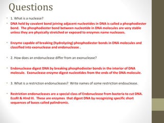 Questions
• 1. What is a nuclease?
• DNA held by covalent bond joining adjacent nucleotides in DNA is called a phosphodiester
bond. The phosphodiester bond between nucleotide in DNA molecules are very stable
unless they are physically stretched or exposed to enzymes name nucleases.
• Enzyme capable of breaking (hydrolyzing) phosphodiester bonds in DNA molecules and
classified into exonuclease and endonuclease .
• 2. How does an endonuclease differ from an exonuclease?
• Endonuclease digest DNA by breaking phosphodiester bonds in the interior of DNA
molecule. Exonuclease enzyme digest nucleotides from the ends of the DNA molecule.
• 3. What is a restriction endonucleases? Write names of some restriction endouclease.
• Restriction endonucleases are a special class of Endonuclease from bacteria to cut DNA.
EcoRI & Hind III. These are enzymes that digest DNA by recognizing specific short
sequences of bases called palindromic.
 