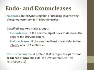 Endo- and Exonucleases
• Nucleases are enzymes capable of breaking (hydrolyzing)
phosphodiester bonds in DNA molecules.
• Classified into two major groups:
• Exonucleases: If the enzyme digest nucleotides from the
ends of the DNA molecules.
• Endonucleases: If the enzyme digest nucleotides in the
interior of a DNA molecule.
• Restriction enzyme: A protein that recognizes a particular
sequence of DNA and cuts the DNA at that site (the
restriction site)
 