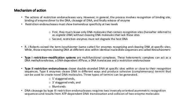 introduction to restriction endonuclease which statement best describes restriction enzymes