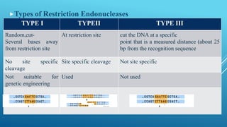 Types of Restriction Endonucleases
TYPE I TYPEII TYPE III
Random,cut-
Several bases away
from restriction site
At restriction site cut the DNA at a specific
point that is a measured distance (about 25
bp from the recognition sequence
No site specific
cleavage
Site specific cleavage Not site specific
Not suitable for
genetic engineering
Used Not used
 