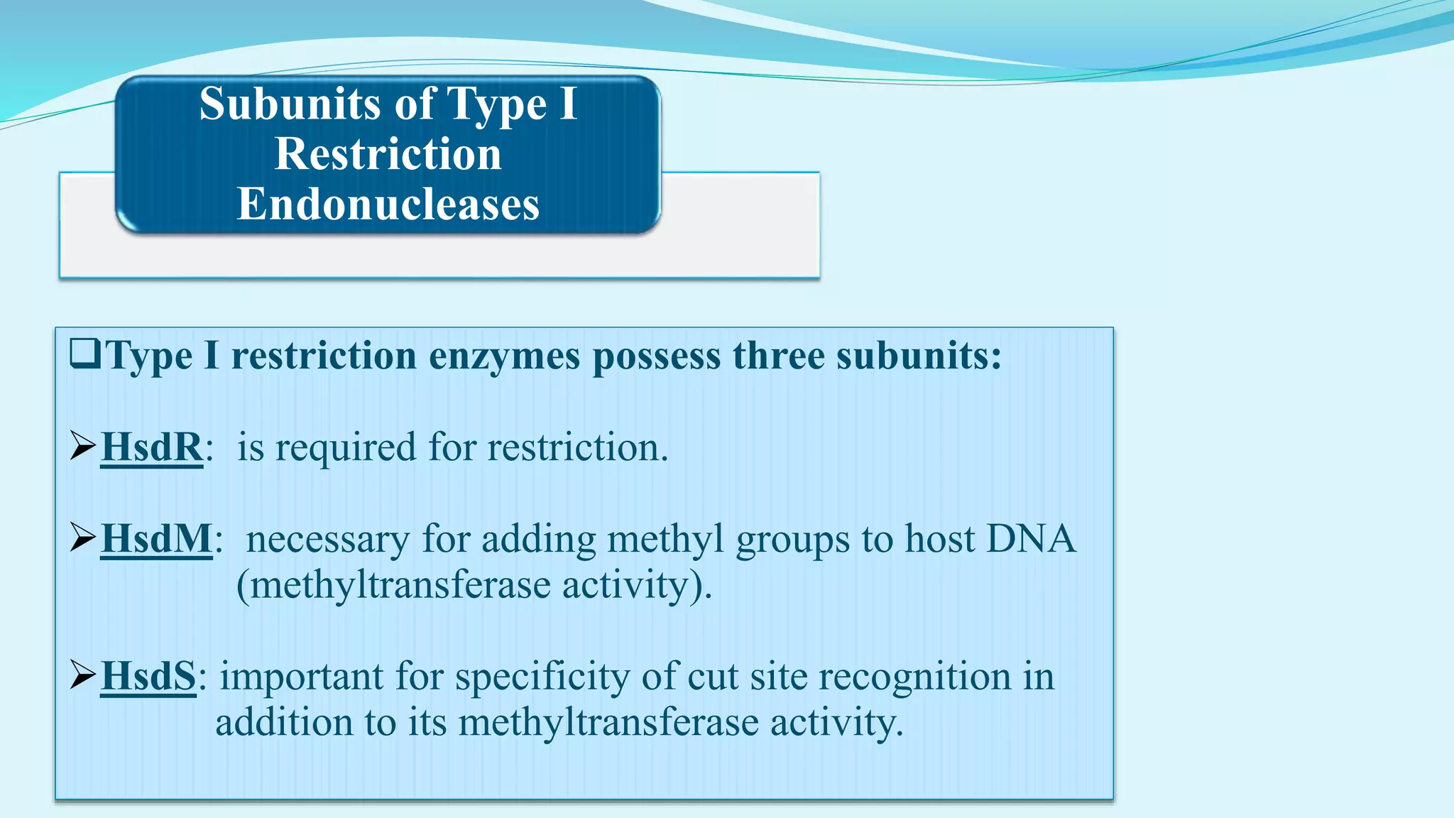 Subunits of Type I
Restriction
Endonucleases
Type I restriction enzymes possess three subunits:
HsdR: is required for restriction.
HsdM: necessary for adding methyl groups to host DNA
(methyltransferase activity).
HsdS: important for specificity of cut site recognition in
addition to its methyltransferase activity.
 