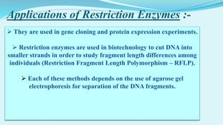Applications of Restriction Enzymes :-
 They are used in gene cloning and protein expression experiments.
 Restriction enzymes are used in biotechnology to cut DNA into
smaller strands in order to study fragment length differences among
individuals (Restriction Fragment Length Polymorphism – RFLP).
 Each of these methods depends on the use of agarose gel
electrophoresis for separation of the DNA fragments.
 