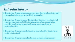 Introduction :-
 Restriction Endonucleases are enzymes that produce internal
cuts, called cleavage, In the DNA molecule.
 Restriction Endonuclease (Restriction Enzyme) is a bacterial
enzyme that cuts dsDNA into fragments after recognizing
specific nucleotide sequence known as recognition or
restriction site.
 Restriction Enzymes are beleved to be evolved by bacteria to
resist viral attack.
 Restriction Enzymes are also known as molecular scessor.
 