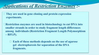 Applications of Restriction Enzymes :-
⮚ They are used in gene cloning and protein expression
experiments.
⮚Restriction enzymes are used in biotechnology to cut DNA into
smaller strands in order to study fragment length differences
among individuals (Restriction Fragment Length Polymorphism
– RFLP).
⮚ Each of these methods depends on the use of agarose
gel electrophoresis for separation of the DNA
fragments.
 