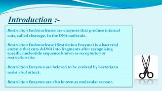 Introduction :-
⮚ Restriction Endonucleases are enzymes that produce internal
cuts, called cleavage, In the DNA molecule.
⮚ Restriction Endonuclease (Restriction Enzyme) is a bacterial
enzyme that cuts dsDNA into fragments after recognizing
specific nucleotide sequence known as recognition or
restriction site.
⮚ Restriction Enzymes are beleved to be evolved by bacteria to
resist viral attack.
⮚ Restriction Enzymes are also known as molecular scessor.
 