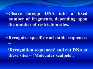 Cleave foreign DNA into a fixed
number of fragments, depending upon
the number of restriction sites.
Recognize specific nucleotide sequences
–
‘Recognition sequences’ and cut DNA at
these sites – ‘Molecular scalpels’.
 