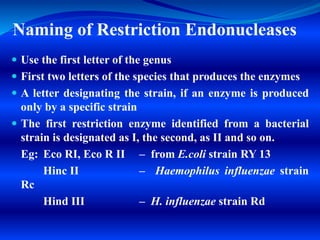 Naming of Restriction Endonucleases
 Use the first letter of the genus
 First two letters of the species that produces the enzymes
 A letter designating the strain, if an enzyme is produced
only by a specific strain
 The first restriction enzyme identified from a bacterial
strain is designated as I, the second, as II and so on.
Eg: Eco RI, Eco R II – from E.coli strain RY 13
Hinc II – Haemophilus influenzae strain
Rc
Hind III – H. influenzae strain Rd
 