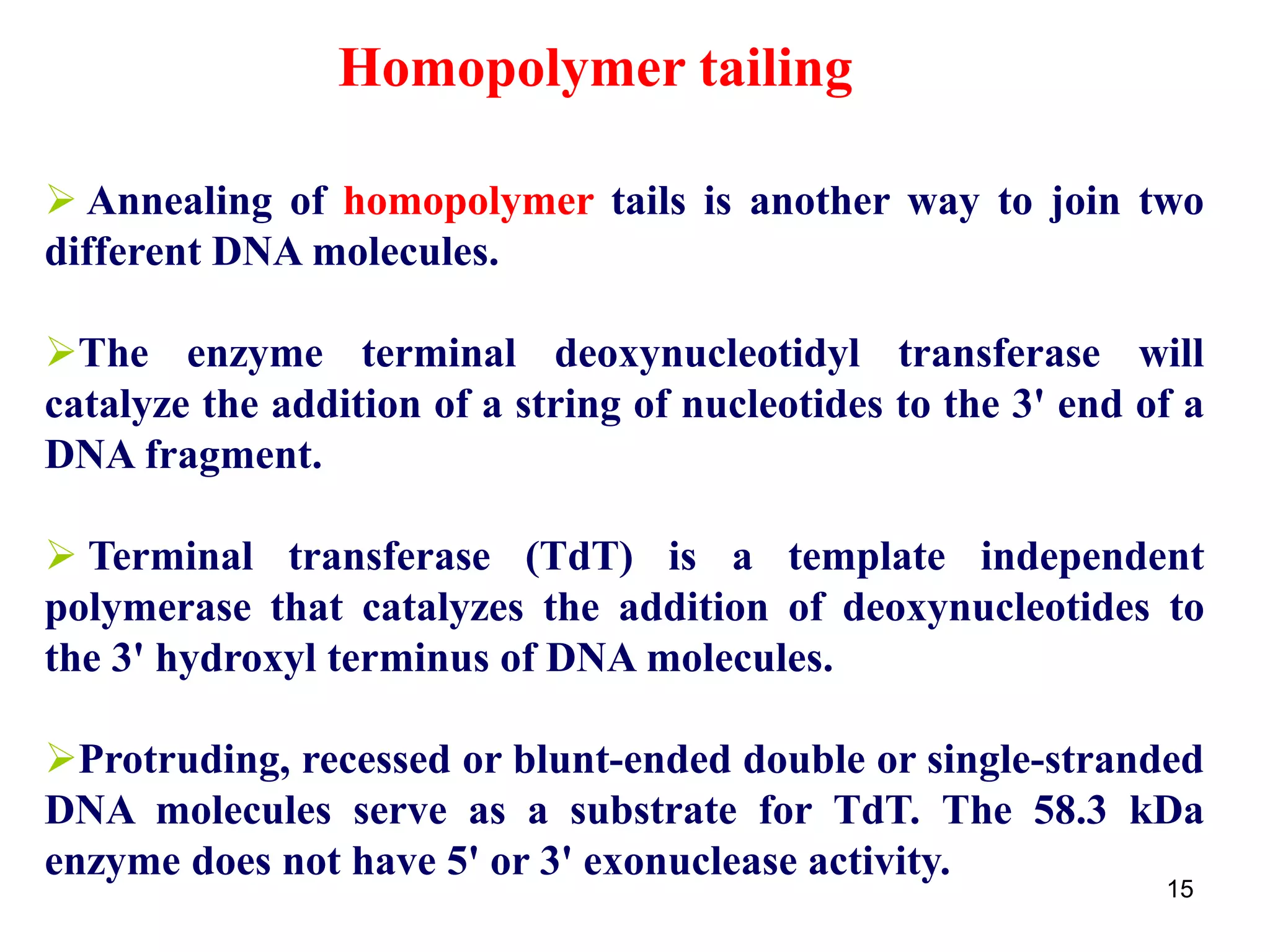 Annealing of homopolymer tails is another way to join two
different DNA molecules.
The enzyme terminal deoxynucleotidyl transferase will
catalyze the addition of a string of nucleotides to the 3' end of a
DNA fragment.
 Terminal transferase (TdT) is a template independent
polymerase that catalyzes the addition of deoxynucleotides to
the 3' hydroxyl terminus of DNA molecules.
Protruding, recessed or blunt-ended double or single-stranded
DNA molecules serve as a substrate for TdT. The 58.3 kDa
enzyme does not have 5' or 3' exonuclease activity.
15
Homopolymer tailing
 
