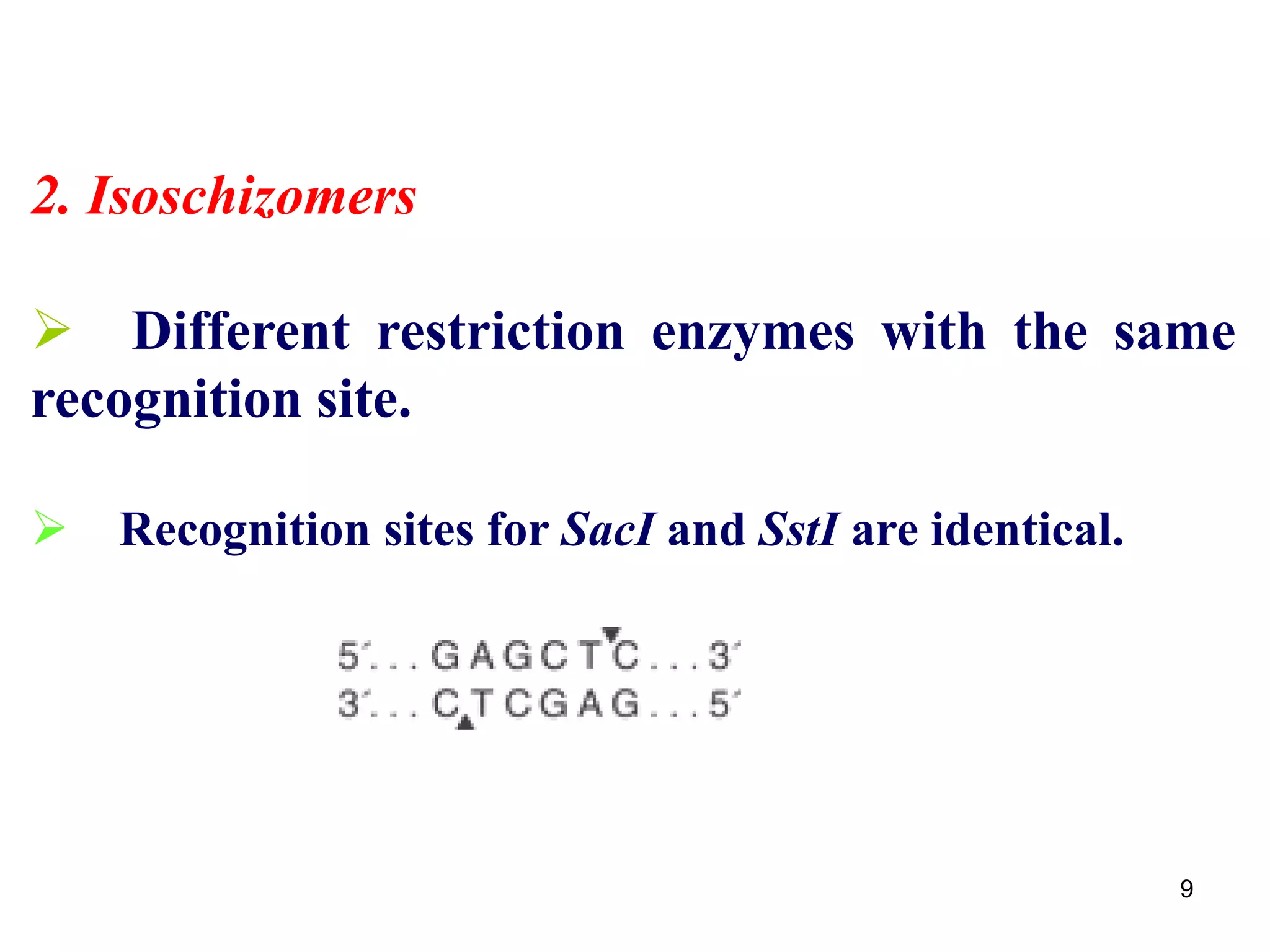 2. Isoschizomers
 Different restriction enzymes with the same
recognition site.
 Recognition sites for SacI and SstI are identical.
9
 