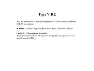 Type V RE
•Use RNA molecules as guides to target specific DNA sequences, similar to
CRISPR-Cas systems.
•CRISPR: Clustered Regularly Interspaced Short Palindromic Repeats
Cas9 (CRISPR-associated protein 9):
An enzyme that uses CRISPR sequences as a guide to recognize and cut at
specific strands of DNA.
 
